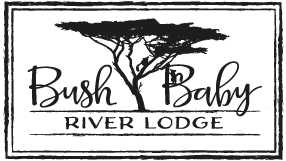 BushBaby River Lodge